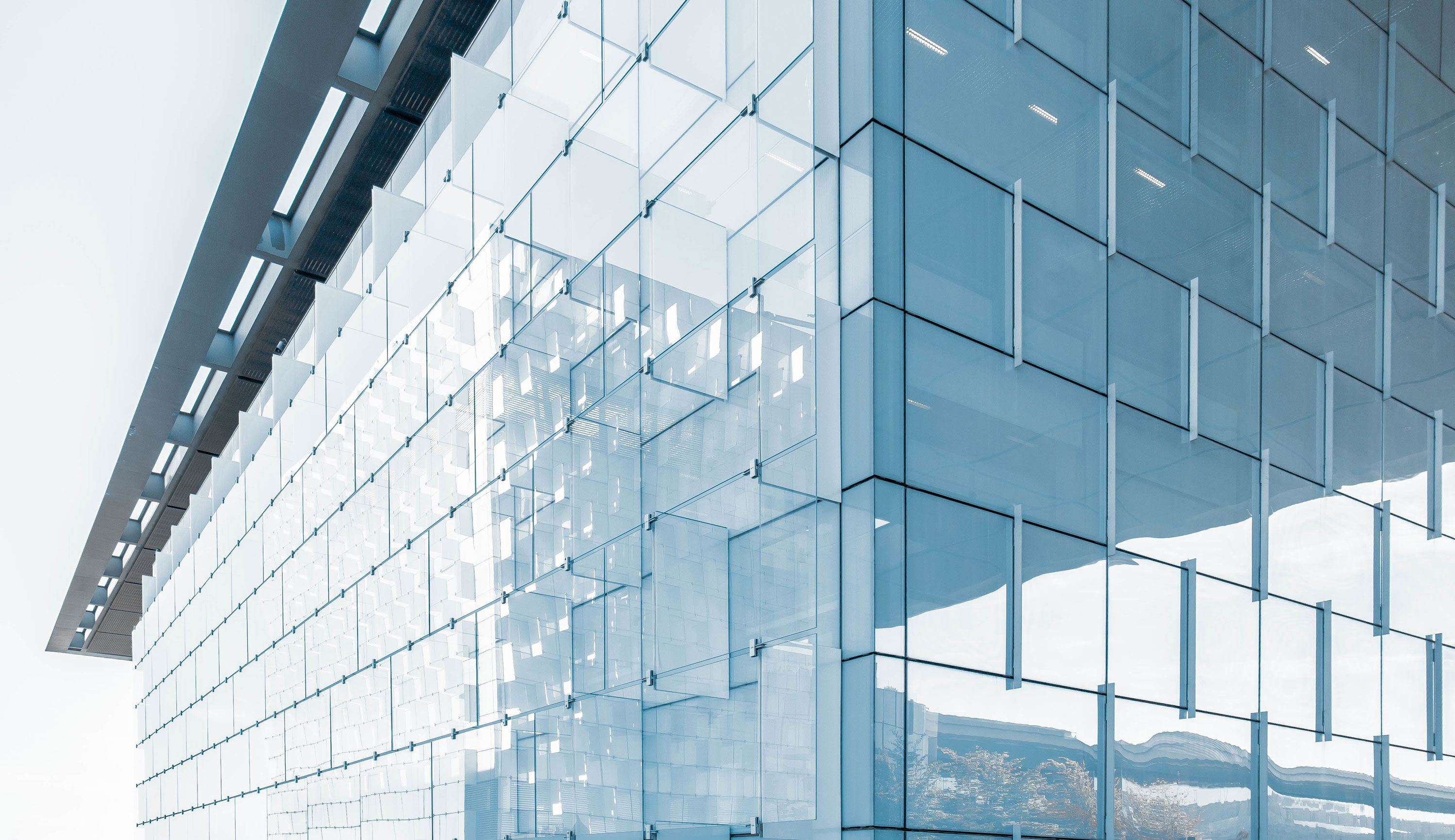 Curtain Wall Glass