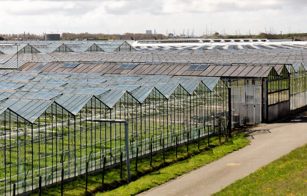 Greenhouse Side Wall Glass